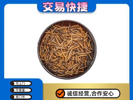 邯郸回收散虫草